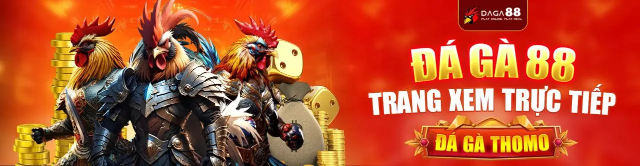 Hình ảnh ghép các môn thể thao đa dạng như bóng đá, bóng rổ, esports và đá gà, tượng trưng cho phạm vi phân tích của okbet online